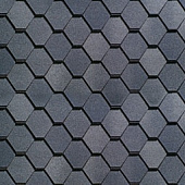 00ХХ\NOM20180816_122159_GCec.jpg 00ХХ\NOM20180816_122159_GCec.jpg